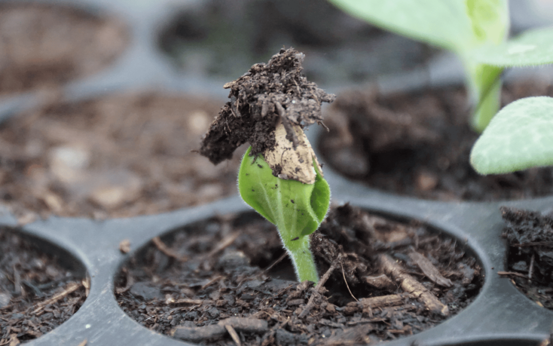 16. + 17.09.2022 – Vortrag und Seminar mit Uwe Burka